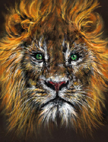 Hypnose & Médias Mars 2023 Hypnose & Médias Mars 2023