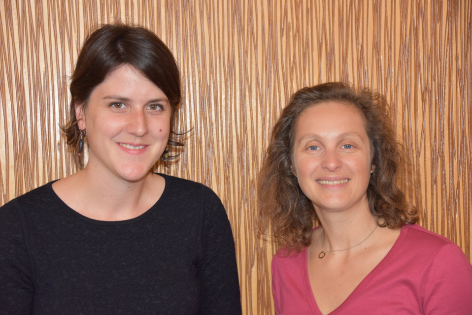 Coline LEMOINE, Hypnose Ericksonienne, Psychiatrie