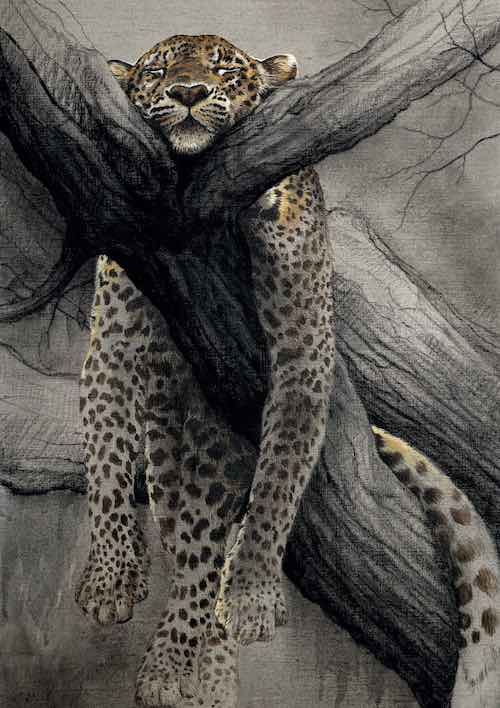 Quand l’enfant ne parvient pas à s’endormir: comprendre l’anxiété nocturne et la force des liens sécurisants.