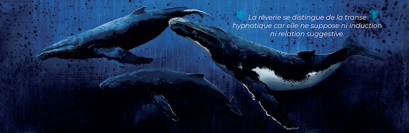 Hypnose et IRM: ce que l’imagerie cérébrale révèle enfin de l’expérience hypnotique.