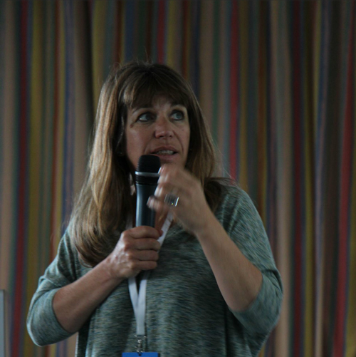 La puissance des métaphores dans le domaine de la douleur. Sophie COHEN La puissance des métaphores dans le domaine de la douleur. Sophie COHEN