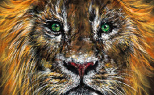 Hypnose & Médias Mars 2023 Hypnose & Médias Mars 2023