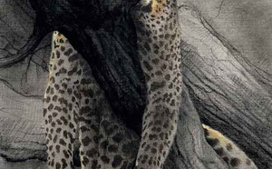 Quand l’enfant ne parvient pas à s’endormir: comprendre l’anxiété nocturne et la force des liens sécurisants.