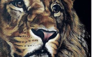 Cris et hypnose: quand les cris des personnes âgées deviennent un langage à écouter.