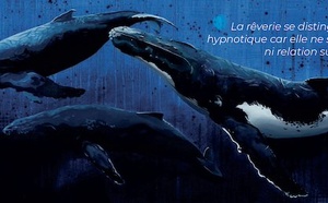 Hypnose et IRM: ce que l’imagerie cérébrale révèle enfin de l’expérience hypnotique.