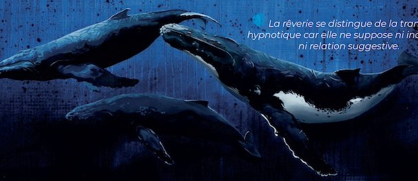 Hypnose et IRM: ce que l’imagerie cérébrale révèle enfin de l’expérience hypnotique.