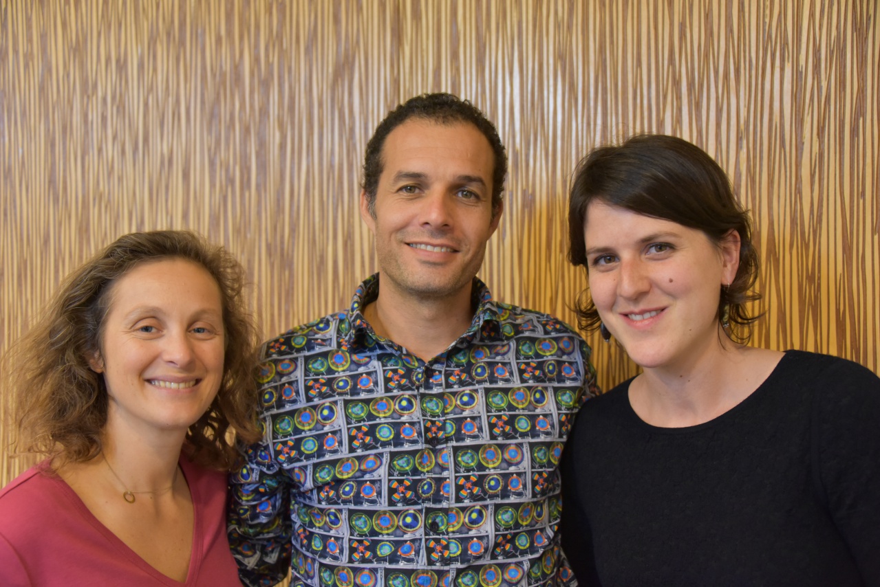 En formationen Hypnose avec les Drs Chedli Madhaoui et Coline Lemoine En formationen Hypnose avec les Drs Chedli Madhaoui et Coline Lemoine